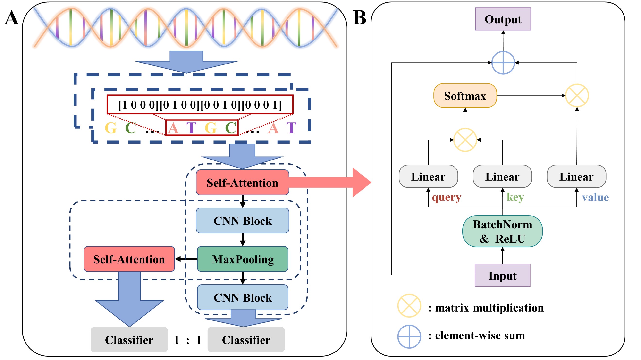 信息学院本科生余雨桐在生物信息学顶刊《Briefings in Bioinformatics》发表论文-信息学院（新网站）